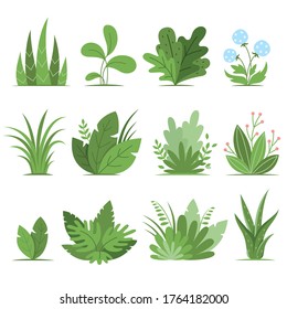 Bushes, plants and herbs design elements set in modern cartoon style isolated on white background