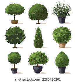 Bushes set vector isolated illustration