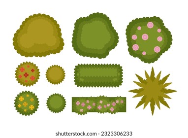 Bushes and shrubs decoration for outdoors yard or garden. Isolated flowers and foliage, leaves and buds in blossom. Vegetation and plants diversity, nature and adornment. Vector in flat style