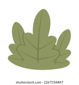 bushes vector illustration design. bush design elements
