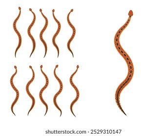 Bushmaster Snake Animal Animation Sequence Cartoon Vector