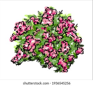 Bushy climbing pink rose. Illustration of a vector on an isolated background.