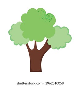 bushy tree on white background