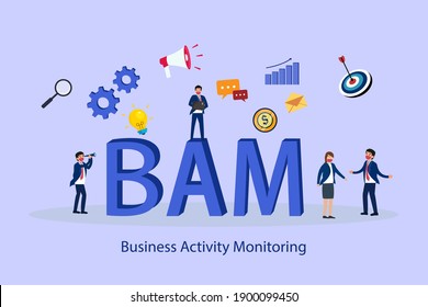 Business Activity Monitoring (BAM) 2D flat vector concept for banner, website, illustration, landing page, flyer, etc