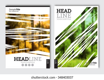 Business brochure design template. Vector flyer layout, blur background with elements for magazine, cover, poster design. A4 size.