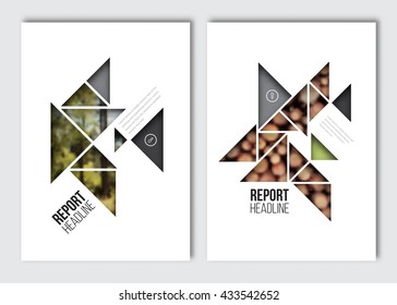 Business brochure design template. Vector flyer layout, blur background with elements for magazine, cover, poster design. A4 size.