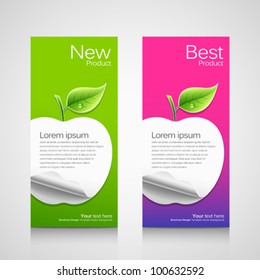 Business Brochure Template, Concept Apple Green And Pink Background, Vector Illustration