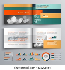 Business brochure template design with color stripes and geometric lines. Cover layout and infographics