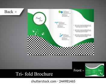 Business Brochure for the Woman