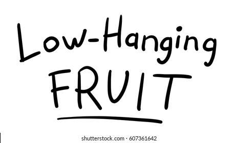 Business Buzzword: low hanging fruit - vector handwritten phrase