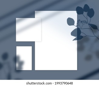Business card mockup shadow. A4 format,Leave plant effect. Vector illustration.