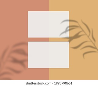 Business card mockup shadow. A4 format,Leave plant effect. Vector illustration.