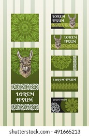 Business card template. Vector flyer layout, background with elements for magazine, cover, poster design. Llama realistic sketch.
