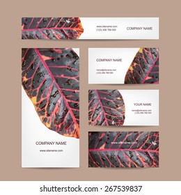 Business cards design, leaf texture. Vector illustration