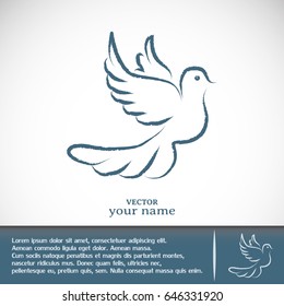 Business cards design. Vector illustration Flying dove for peace