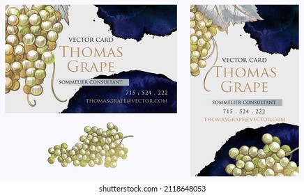 Business cards vector set, botanical design with watercolor ink stains and white grape illustration. Decorative frame with grape bunches and leaves. Template business cards in vintage sketch style.