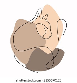 Business cat, business concept, brand name, slogan.