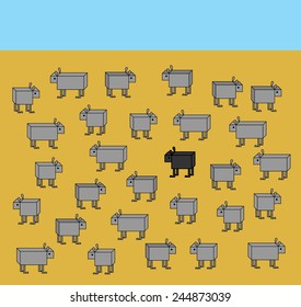 Business concept. Black sheep