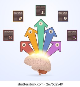 Business Concept Multicolor Brain Idea, Health or Capacity Infographics Arrow Vector Design