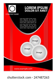 Business Flyer or Cover Design 