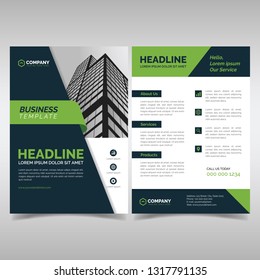 Business flyer design template