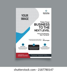 Business flyer design template .