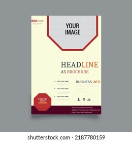 Business flyer design template .