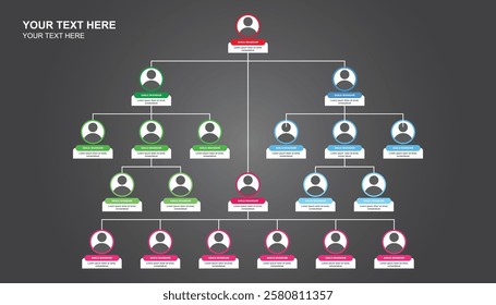 Business hierarchy organogram chart infographics. long business team tree. tree diagram. team management. organizational chart. company organization branches template