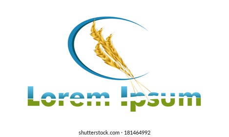 Business Identity