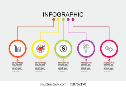 business info graphic template Vector illustration  graphic on background