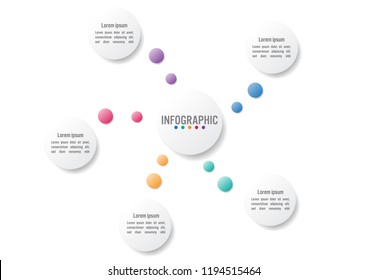 Business infographic template with 5 options circular shape
