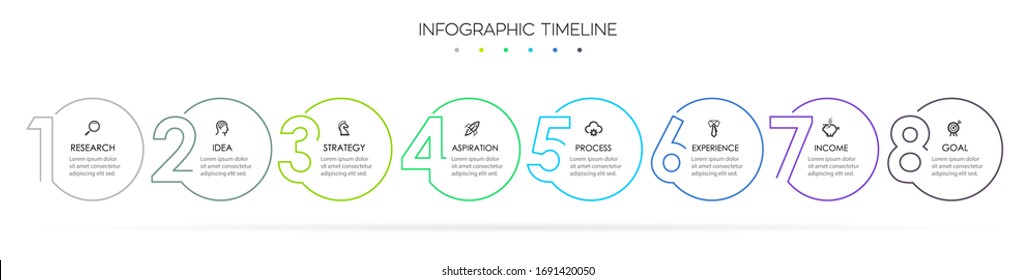 Business Infographic template. Thin line design with numbers 8 options or steps.