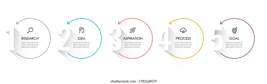 Plantilla de información empresarial. Diseño de línea delgada con números 5 opciones o pasos.