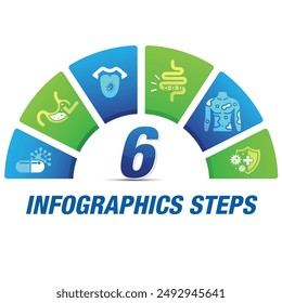 Business Infographic template. Thin line design with numbers 6 options or steps