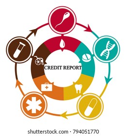 Business infographics. Pie chart with the inscription:credit report
