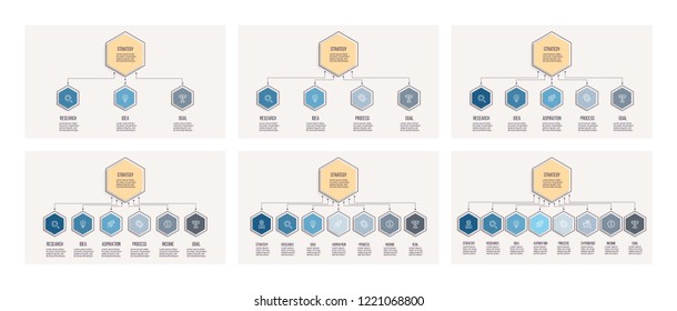 Business infographics. Vector presentation with 3, 4, 5, 6, 7, 8 options, hexagons. Editable line.