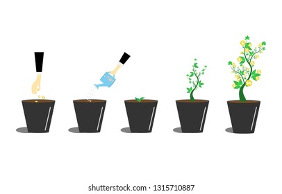 business investment plant step by step infographic until successful goal vector illustration.