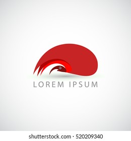 business logo fire bird vector sign
