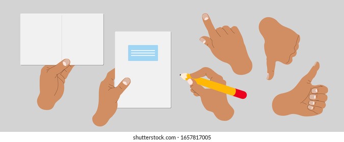 Business, office, finance vector illustrated hands. Modern trendy drawings of hands holding notes, small and big note books, pencil. Different hand signs, gestures. Web / App design infographics.