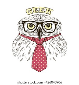 business owl portrait, hand drawn graphic, animal illustration