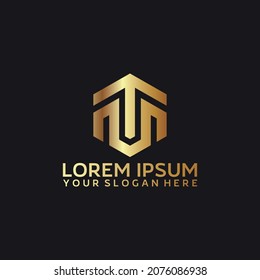 business premium TM letter logo design vector
