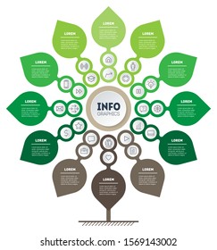 Business presentation or infographics concept with 12 steps and 24 icons. Development tree. Technology or education process with options. Annual report is segmented into twelve months.