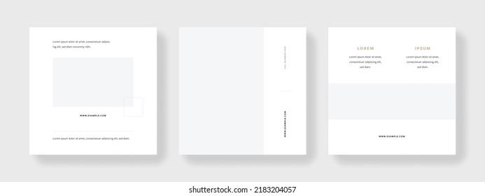 Business social media network layout, minimal and clean templates for company promotion, graphic designs for sellers and influencers, advert for bloggers and coaches, universal square web banners