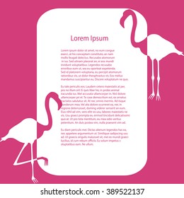 Business template -  pink flamingo   - vector illutration 