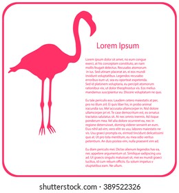 Business template -  pink flamingo   - vector illutration 