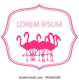 Business template -  pink flamingo   - vector illutration 