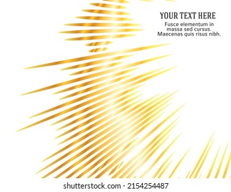 Business templates for multipurpose presentation. Easy editable vector EPS 10 layout. design brochure A4 format advertising, for new product newsletters, technology graphics, report firm, event party