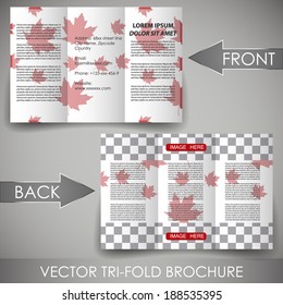 Business three fold flyer template, corporate brochure or cover design/Can be use for publishing, print and working presentation with place for your content.