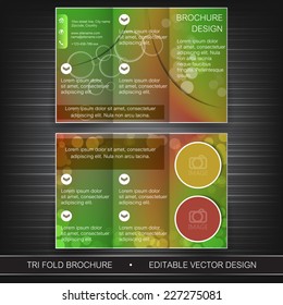 Business tri-fold flyer template, brochure or cover design/can be use for publishing, print and presentation, design with place for your content or creative editing.