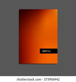 Business vector brochure flyer design template